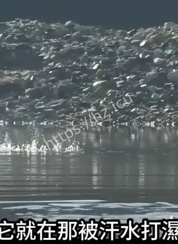 恒河水刷牙